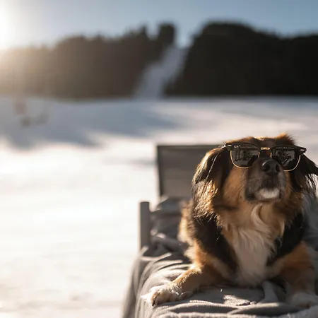 Hotel Adea Lifestyle 4*